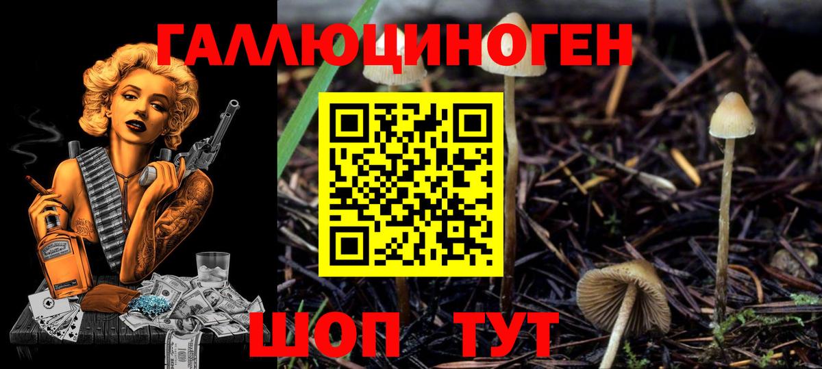 Псилоцибиновые грибы GOLDEN TEACHER Ржев