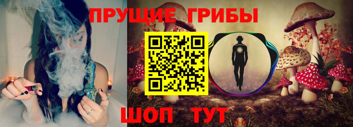 Ржев  Галлюциногенные грибы Cubensis  Вход с VPN 
